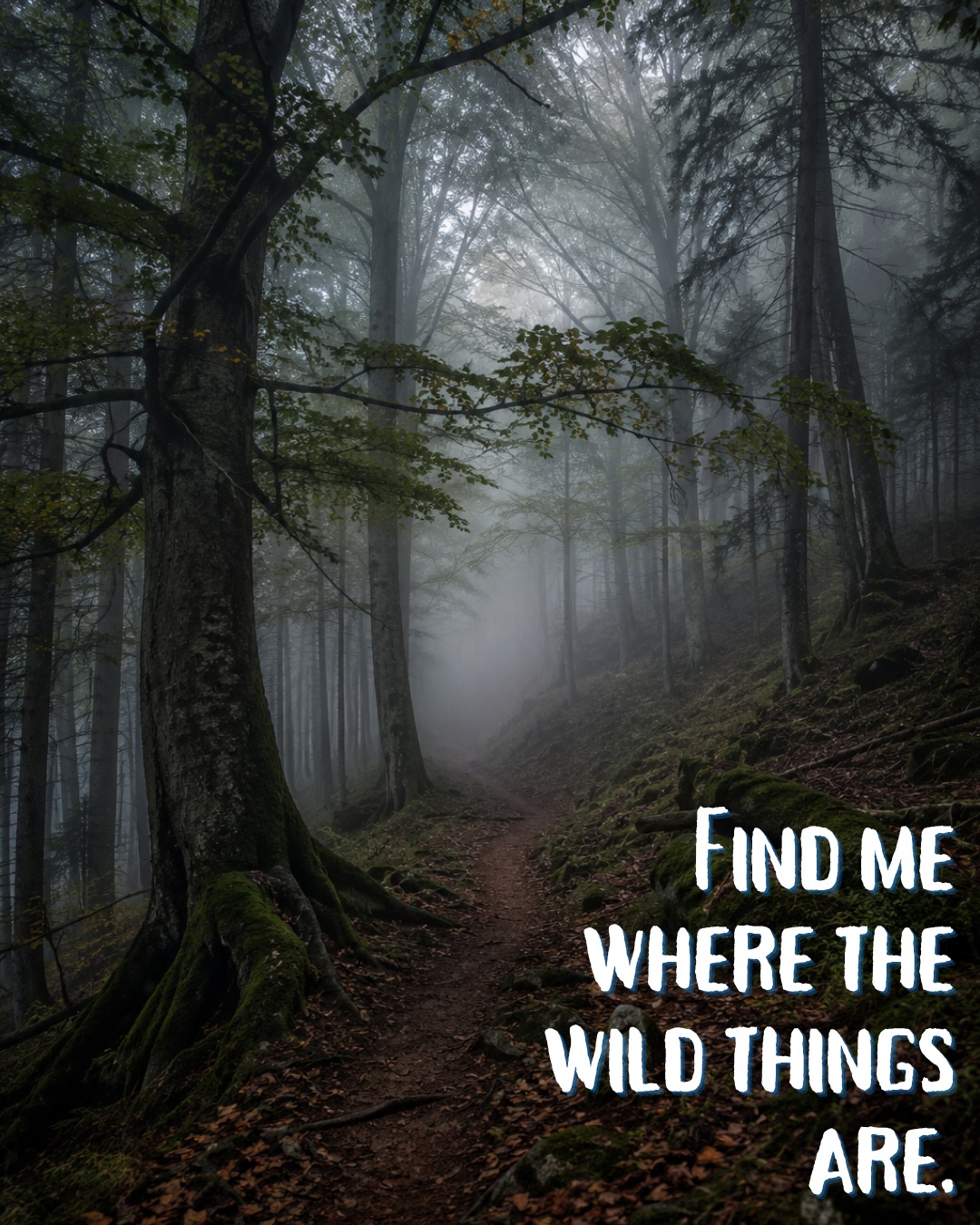 Find me where the wild things are.

Zwischen Moos und Schatten.
Zwischen Stille und Wahnsinn.
Dort beginnt der neue Fall für Anna und Dobbs.

🌲 Der stille Schatten. Ab August.

#AnnaundDobbs #DerstilleSchatten #TeamMarburg #TatortMittelhessen