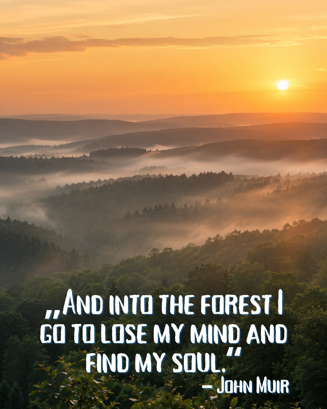 „And into the forest I go to lose my mind and find my soul.“ – John Muir
Für manche bedeutet der Wald Frieden. Für andere wird er zum Tatort.
🌲 Der stille Schatten
#AnnaundDobbs #DerstilleSchatten #TeamMarburg #TatortMittelhessen